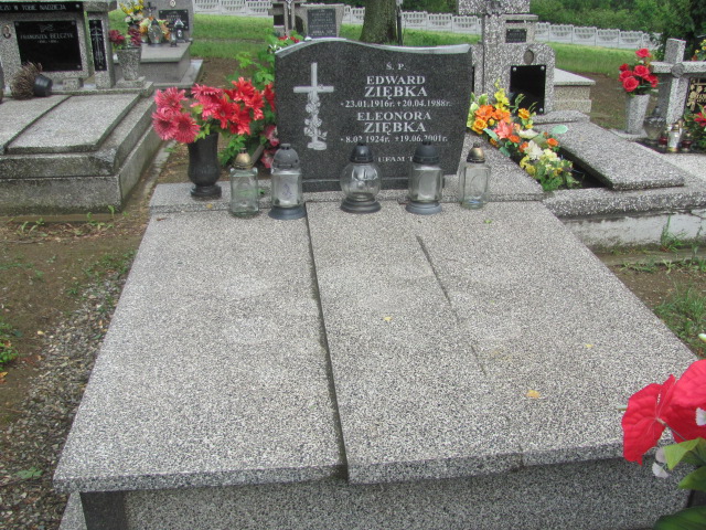 Grób Edward Ziębka