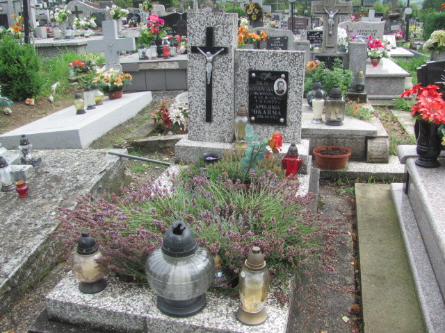 Grób Julia Kiśniowska