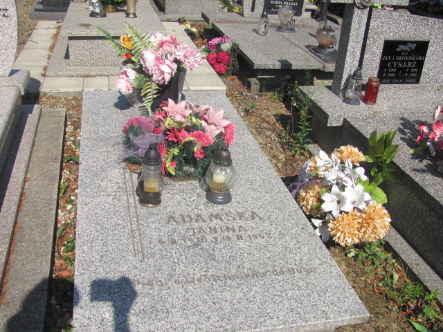 Grób Henryk Pachucki